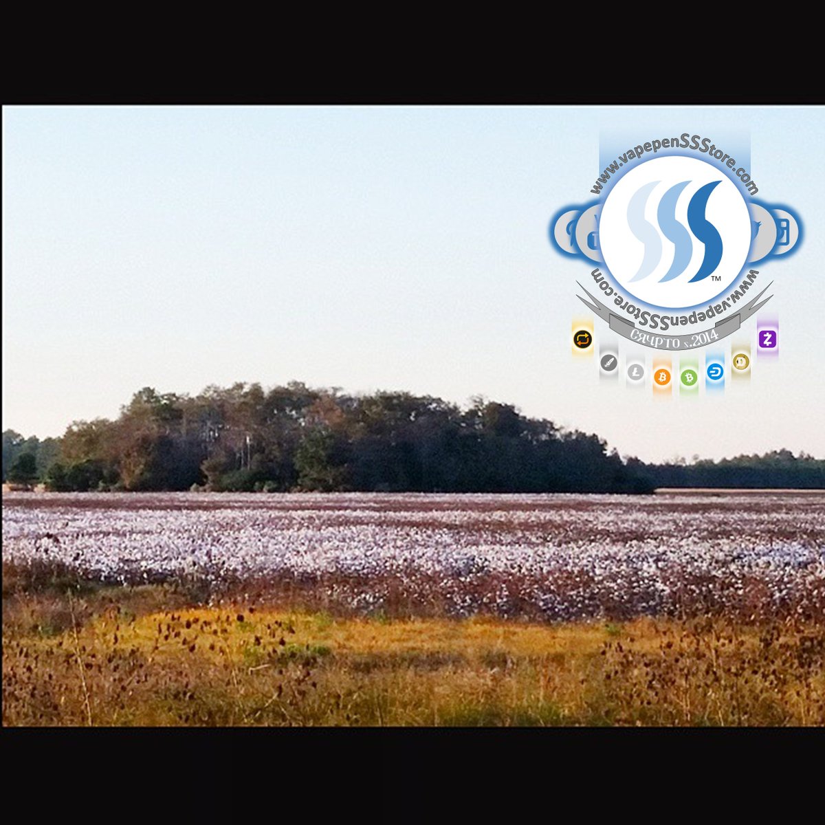 Pay with #DOGE $DOGE| Stay Heatlhy | #Hello #Dogecoin