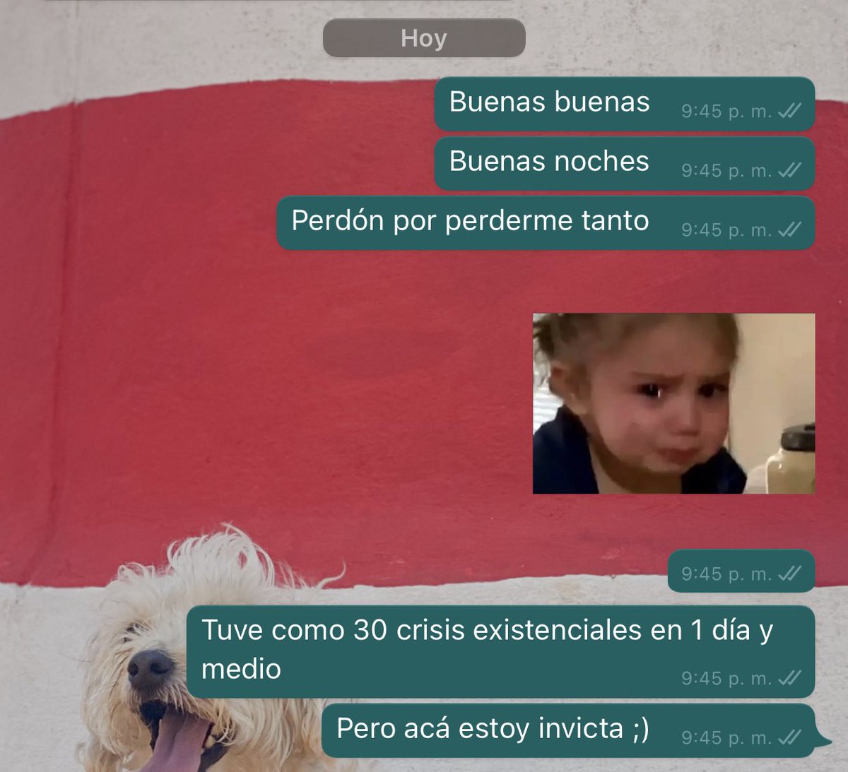 Andreajg0116's tweet image. Yo todos los días: