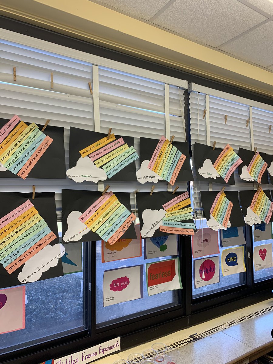 Stacey Kushner tweet media