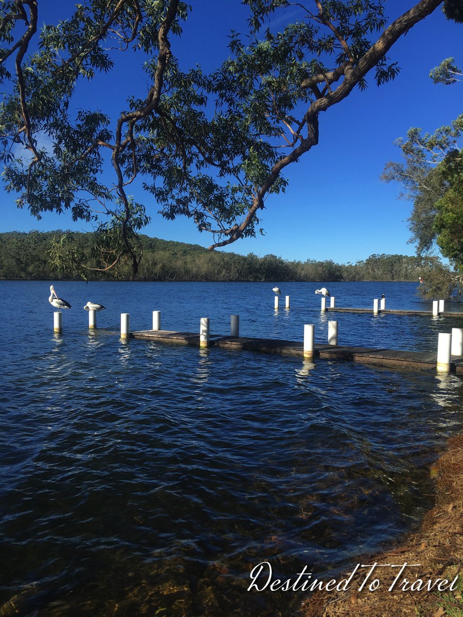 Destind2Travel's tweet photo. Lake Conjola is such a #peaceful location. Even got to see #Pelicans hanging out. People live on the shores of this lake. What a location! Would you like to live here?
#australia #life #lifestyle #naturelovers #lakeconjola #lakelife #lakestyle #nsw #nswtourism #nswsouthcoast https://t.co/8gEQf9OtYz