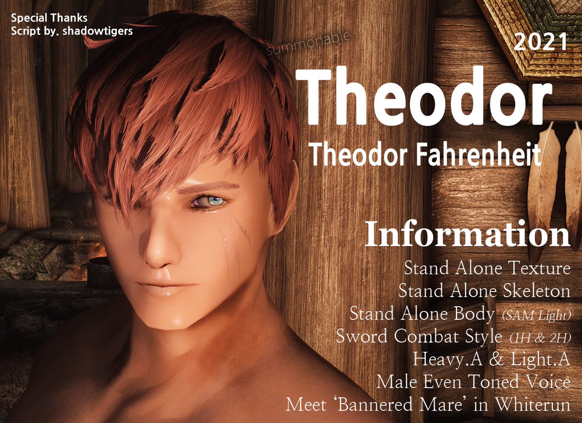 skyrim male companion mods