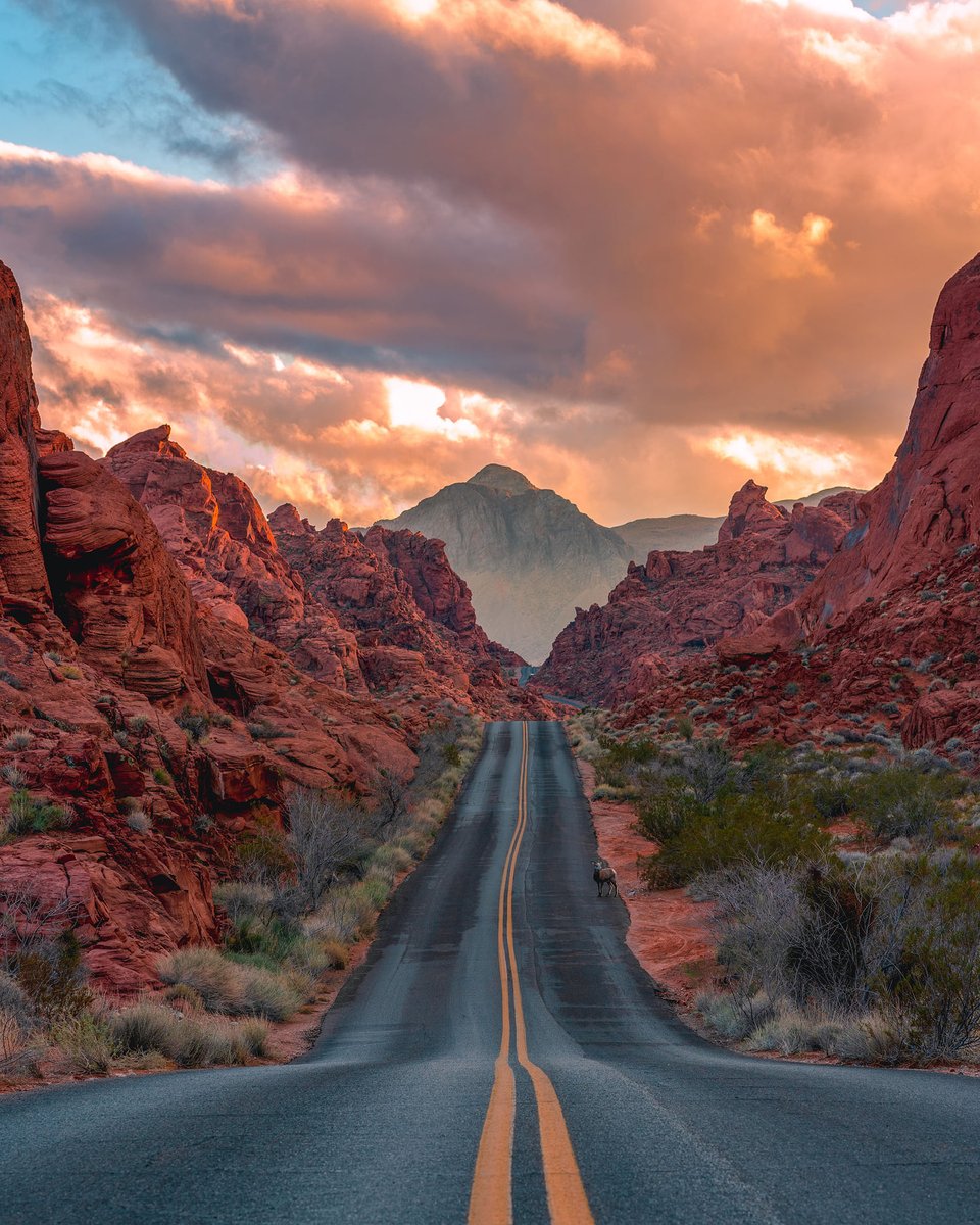 Valley of Fire #Nevada. #naturephotography #travelphotography  #roadtrip #travel #wanderlust #travelawesome #nature #beautifuldestinations #traveltogether #fantastic_earth  #landscape #natureaddict #passionfortravel #trip #adventure  #placestosee #borntotravel #tour