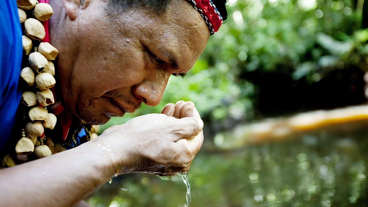 Indigenous leader Emergildo Criollo of the Cofan is a man I greatly admire. He was a driving force behind the successful lawsuit against Chevron. Chevron engineers told him that oil was 'like milk' and full of vitamins. He lost two children to cancer.