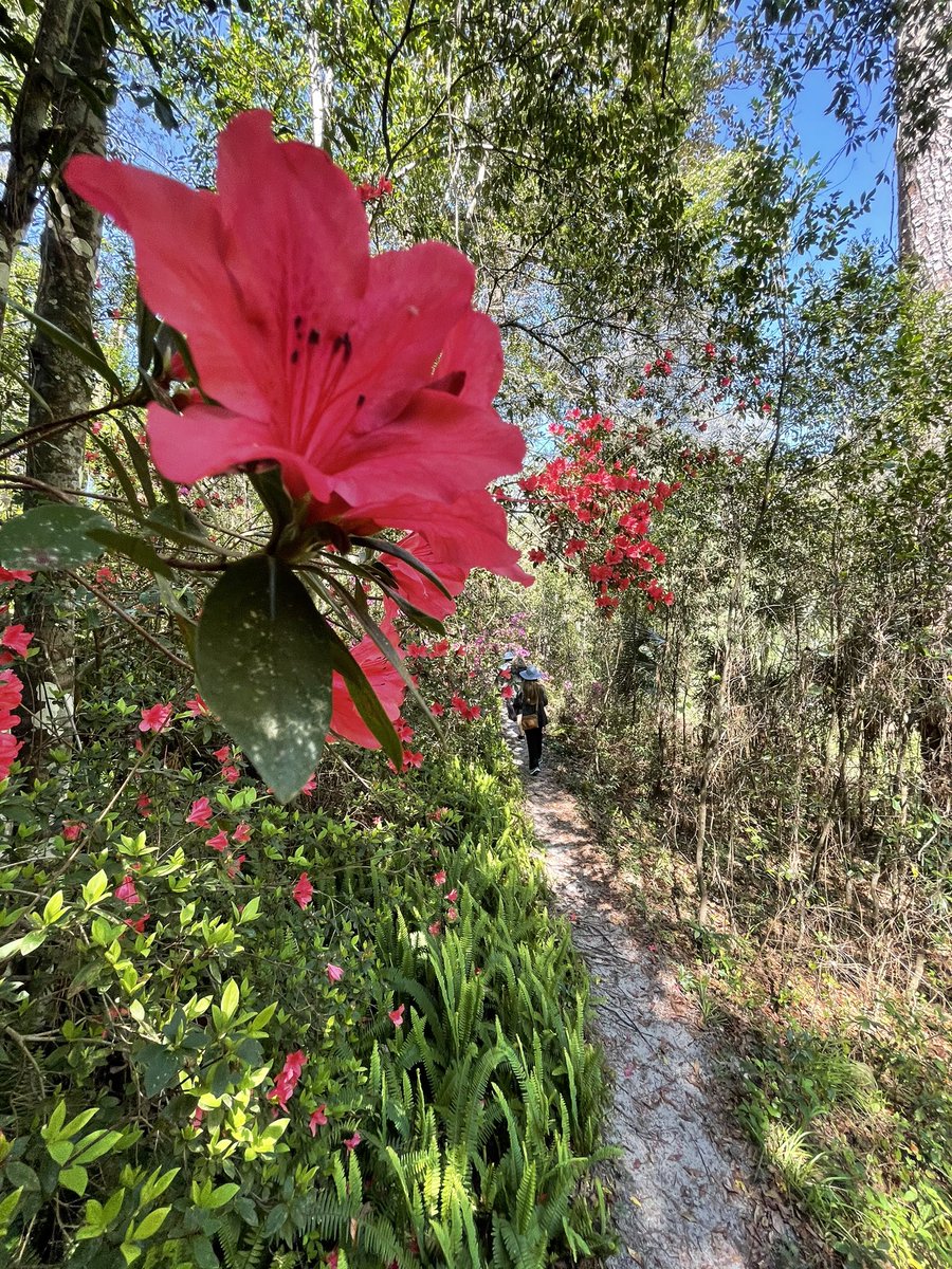 Point To Balance Acupuncture (PointToBalance) Twitter