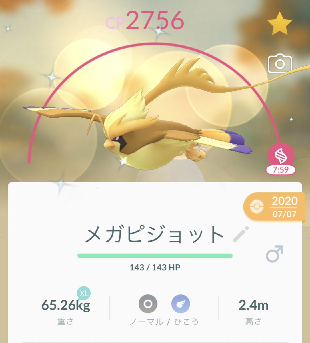 No 771 メガピジョットの色違いかっこええな ポケモンgo T Co Zdfg7bicup Twitter