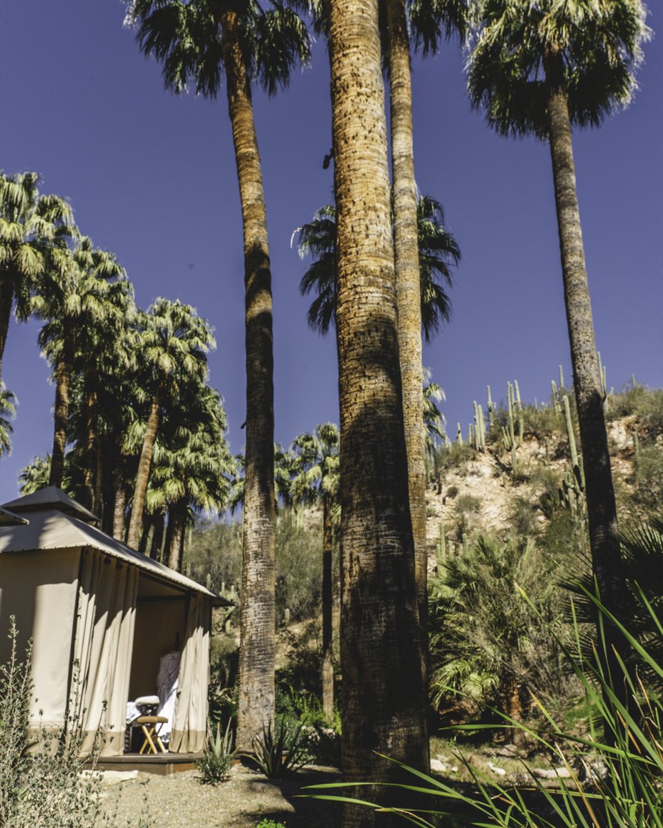 Hard to beat 75 degrees and a creek side massage tucked in a canyon!