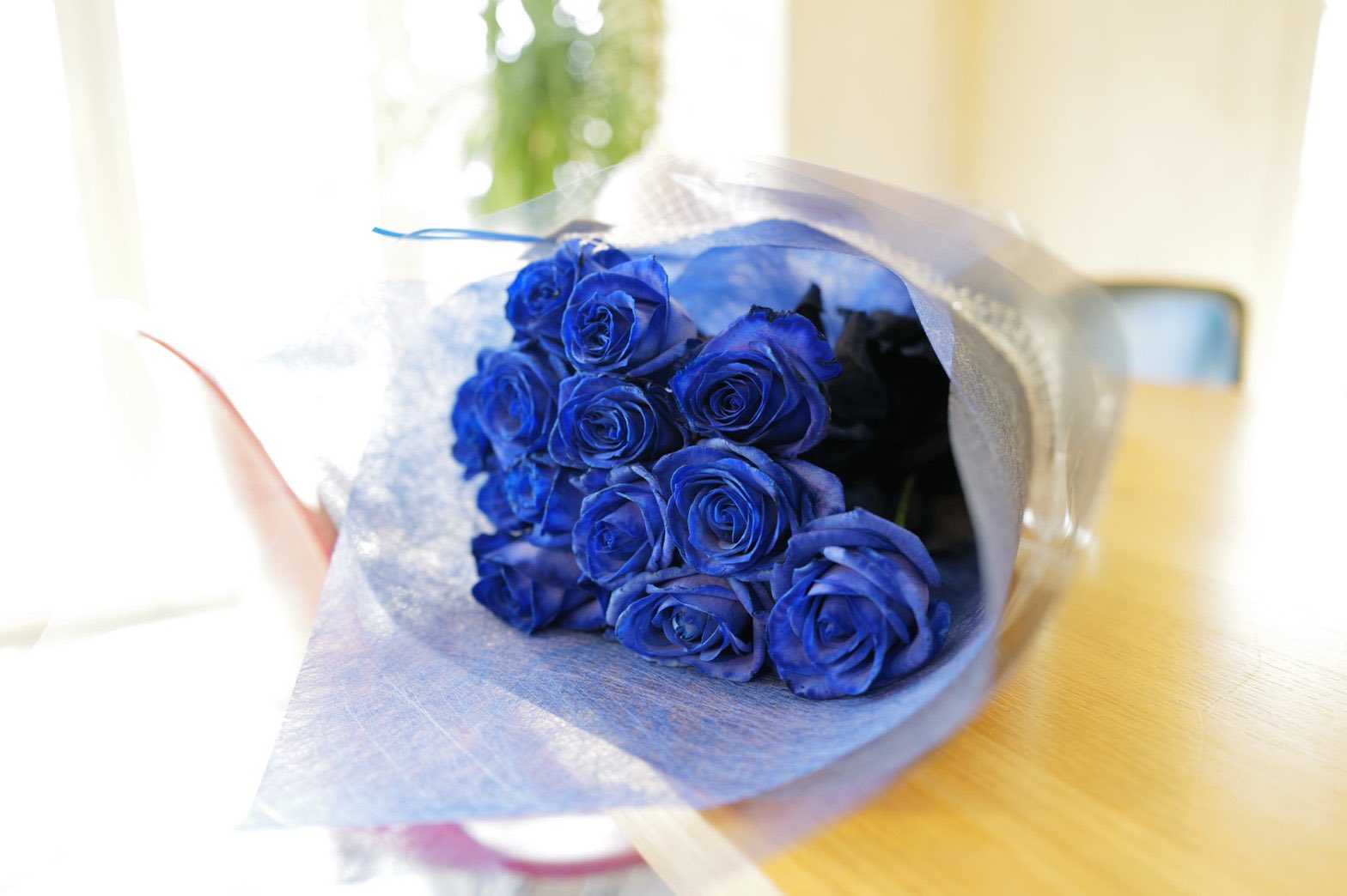 ローズショップ 青いバラの花言葉 可能性 大切な人への節目のプレゼントに 卒業花束 送別花束 入学花束 T Co Nk5cixznoo T Co Ha2u9nfdmw Twitter