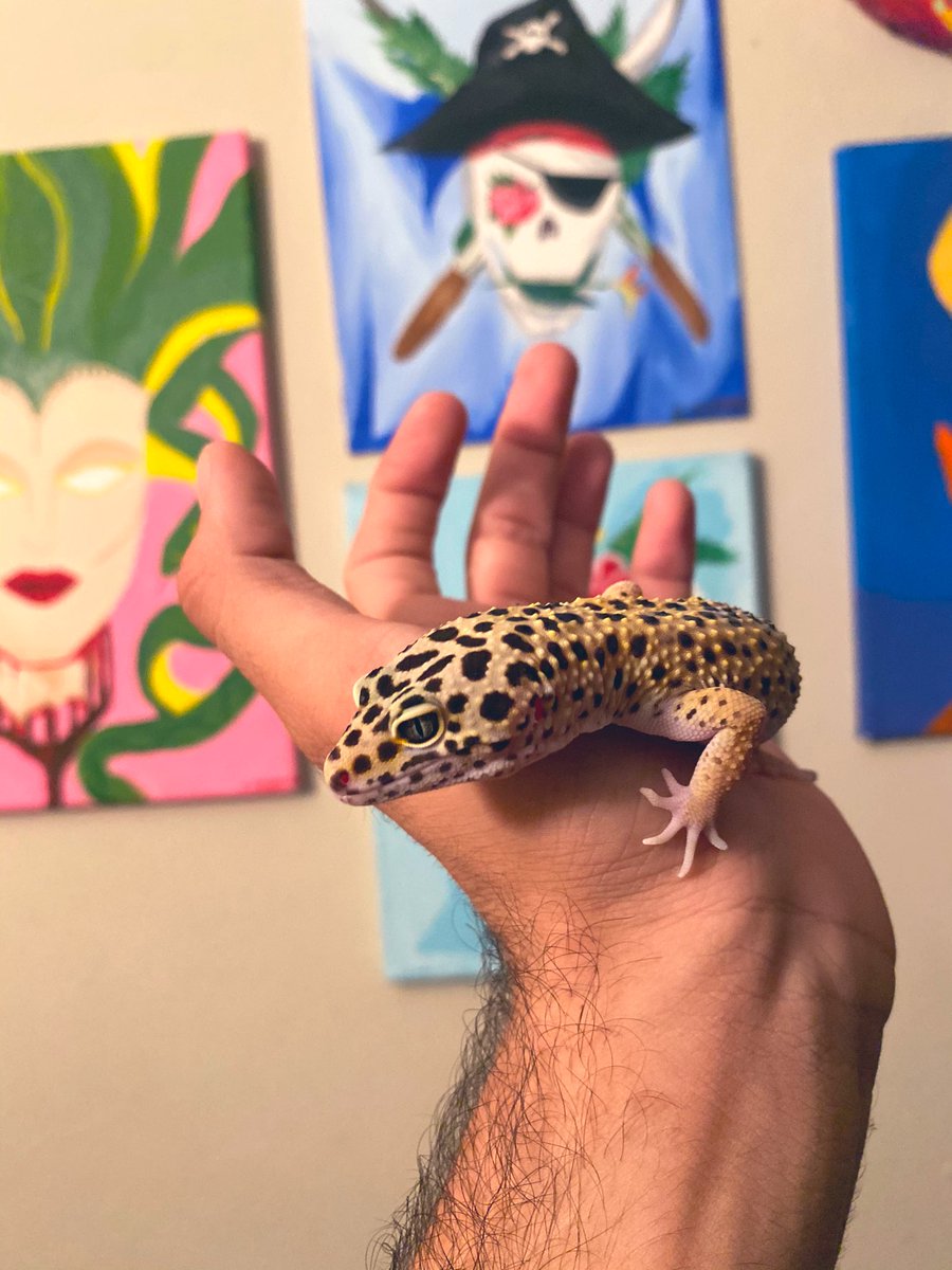 _atsitab's tweet photo. Sirius es un amor 🥰 https://t.co/dgCGz0ZPQh