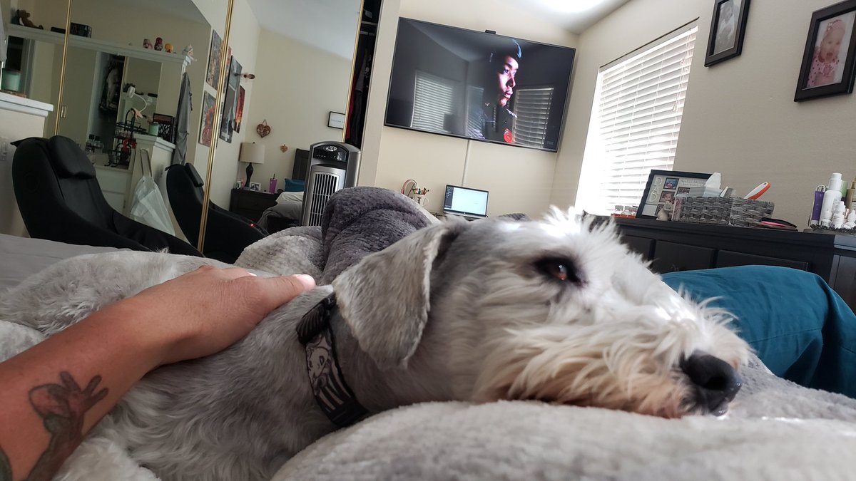 ReturnofTheChad's tweet photo. Current mood #dogone tired https://t.co/JpfR08feO6