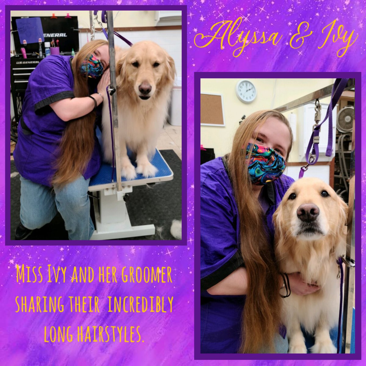ClassyClipNY's tweet photo. 💛✂️🧼🐾💜 https://t.co/Rhmlkng5MZ
