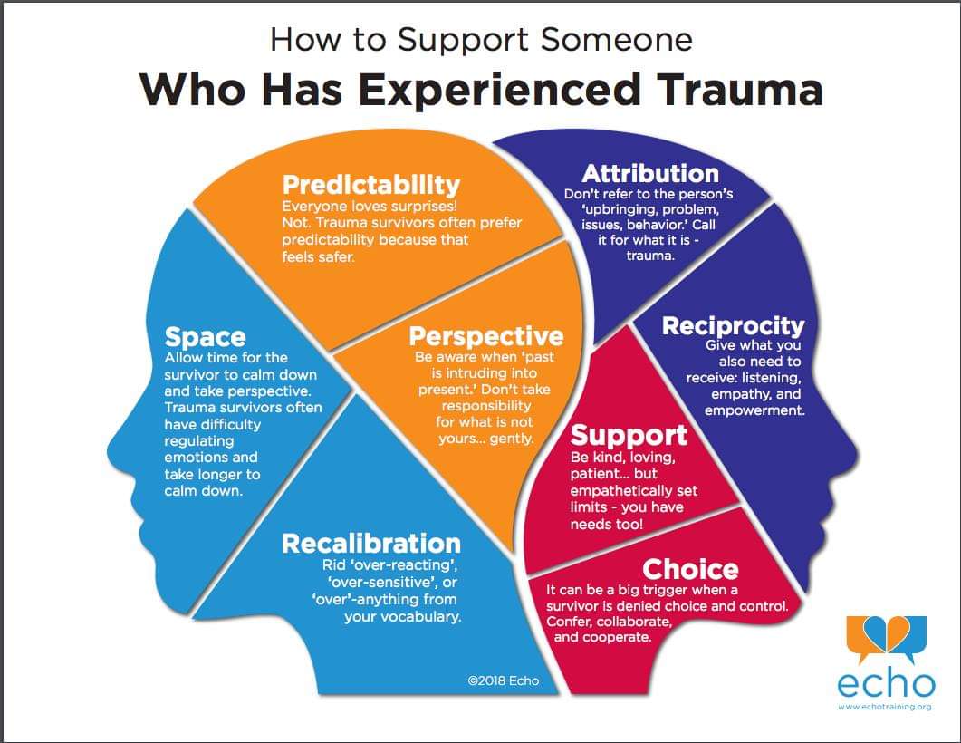How to Support Someone Who Has Experienced Trauma via <a href="/EchoTrainingOrg/">Echo</a>. #trauma #SEL