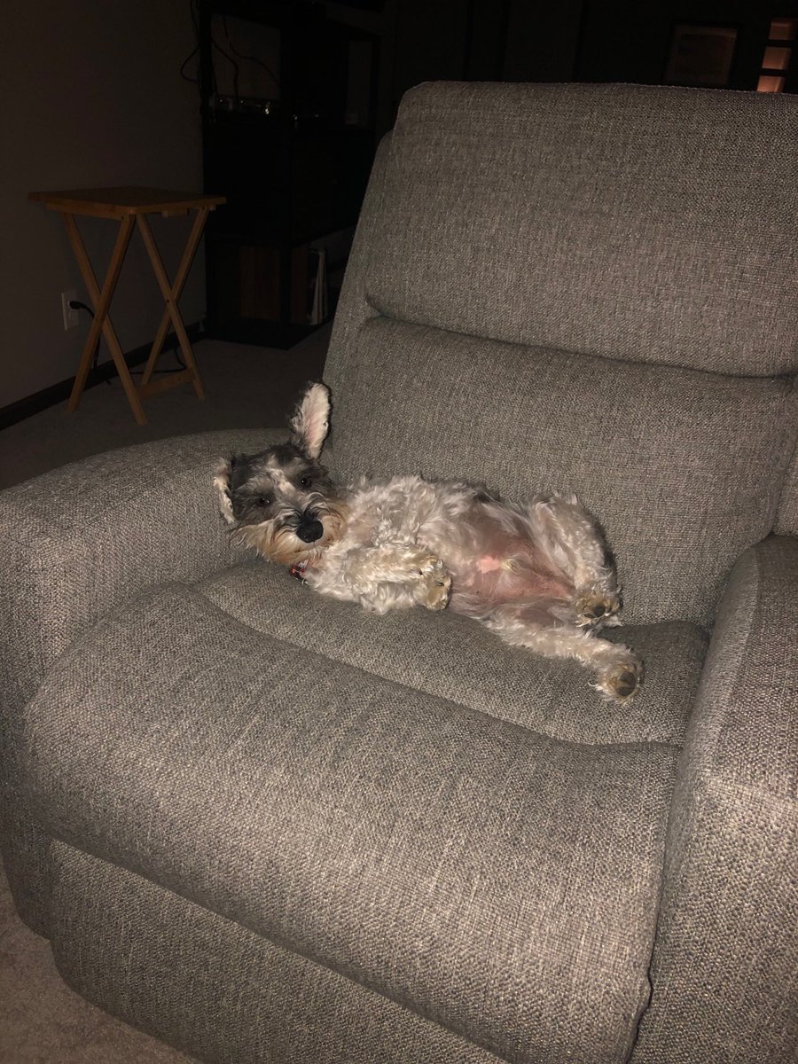 Count Gunther VM tweet media