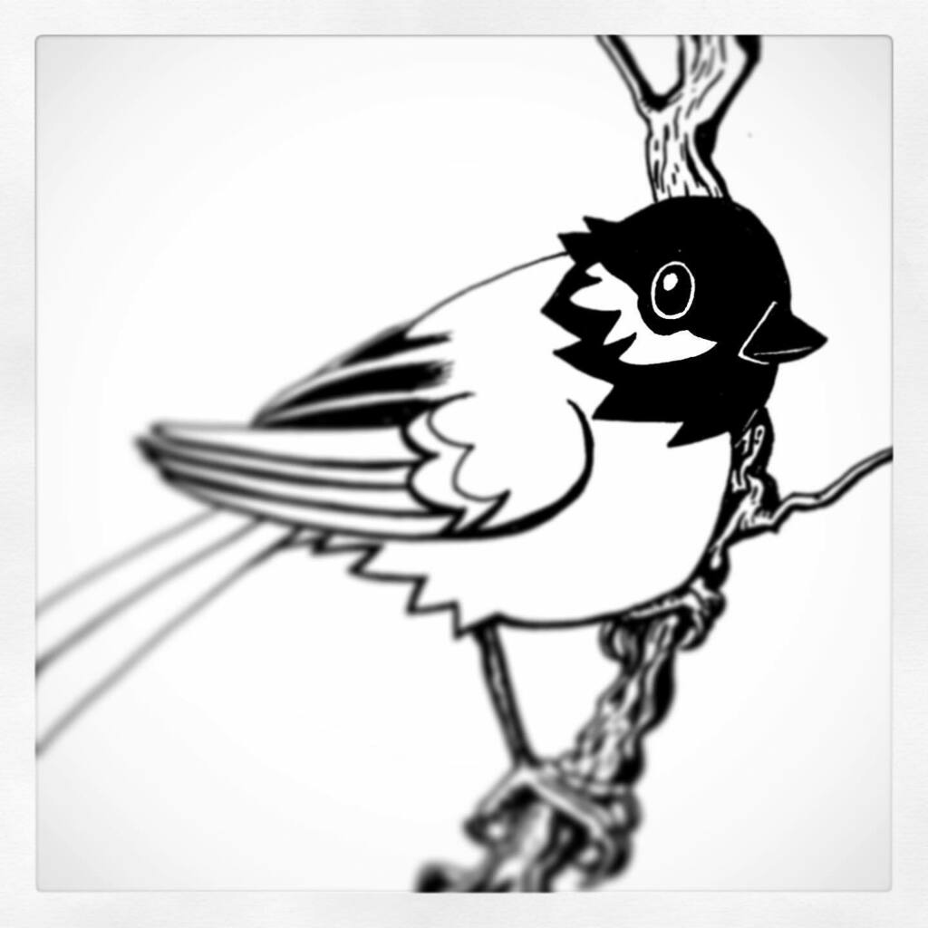 GB_COMICS's tweet photo. It’s a great tit for #DrawLent tonight. https://t.co/v65yQ1OC5K https://t.co/PYYes3mofT