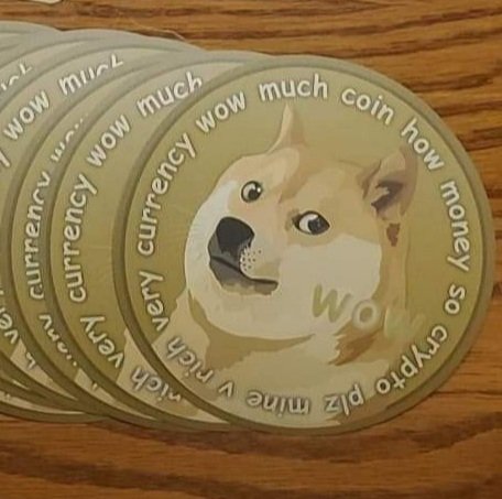 AllOutCanvases's tweet photo. @elonmusk *buys more dogecoin* https://t.co/okGcDEb3h3