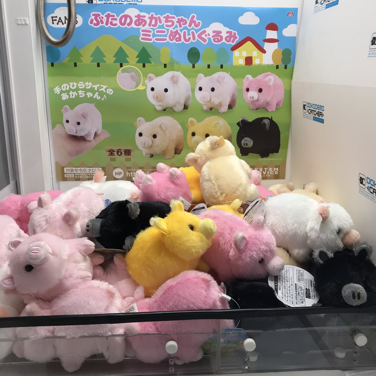 ✨🐖景品入荷しました 🐖✨／ 【#187】 ぶたのあかちゃんミニ