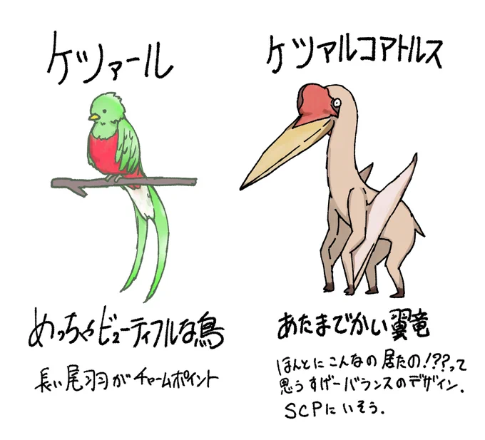 同じ「ケツァール」なのに差が凄いケツァール(鳥)とケツァルコアトルス(翼竜) 