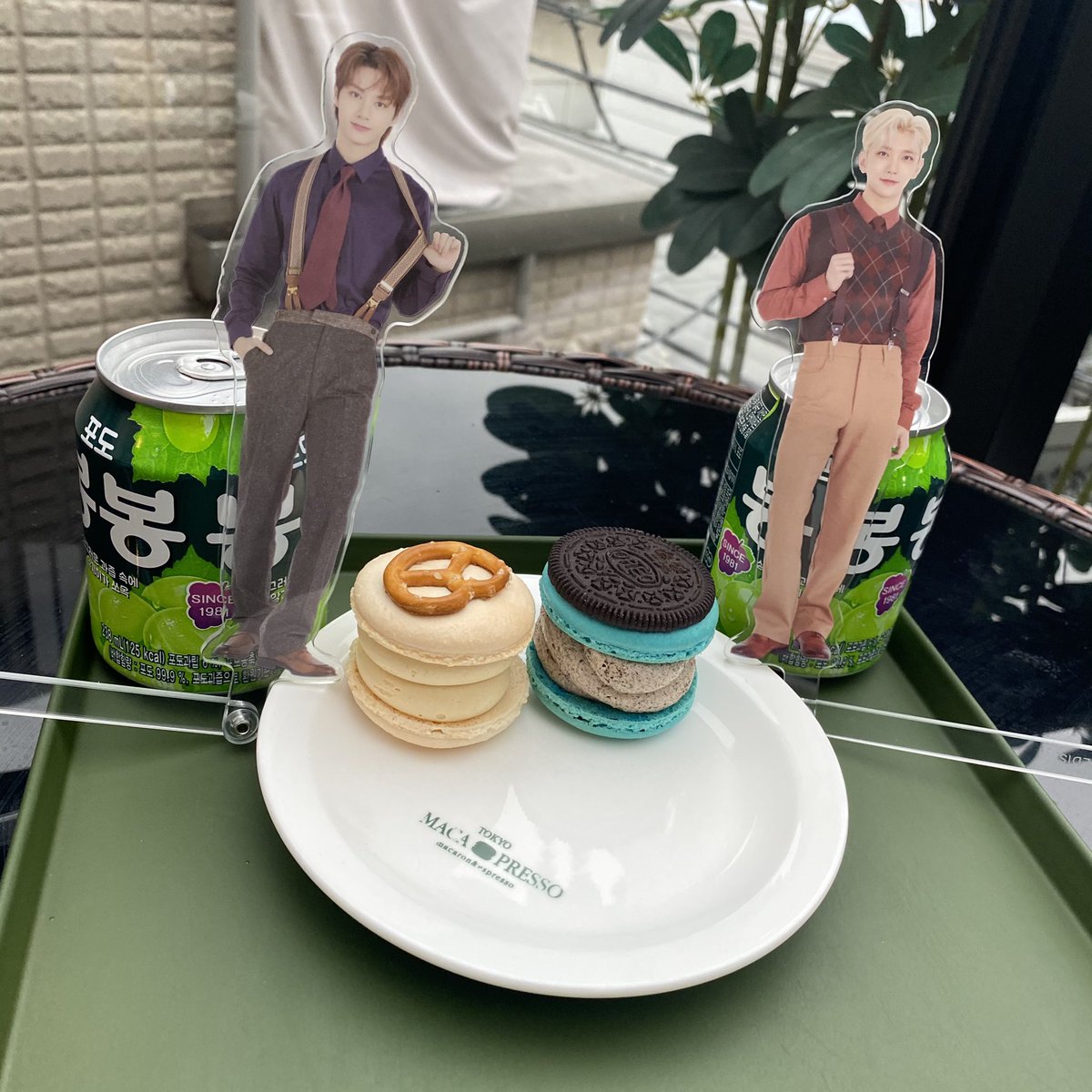 svt__814's tweet photo. カフェ振りのジスジュン 🐰 🐱 🤍
 
美しすぎてカメラ越しで直視した👀💞

@chay_1230 https://t.co/JvaXif1Tpo