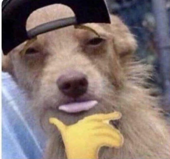 Innuenterro's tweet image. That settles it: DarkZero has the best organ 🍆 in esports.