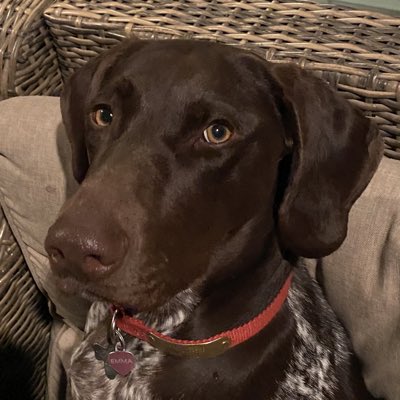 arnrules's tweet image. #NewProfilePic