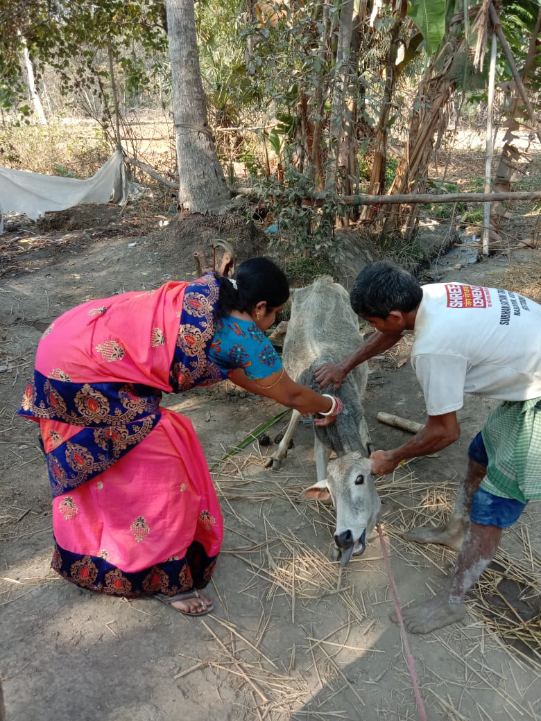 OLM DMMU BHADRAK tweet media