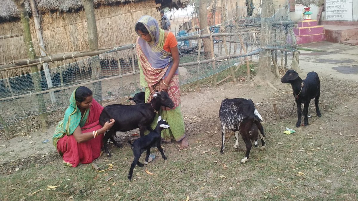 OLM DMMU BHADRAK tweet media