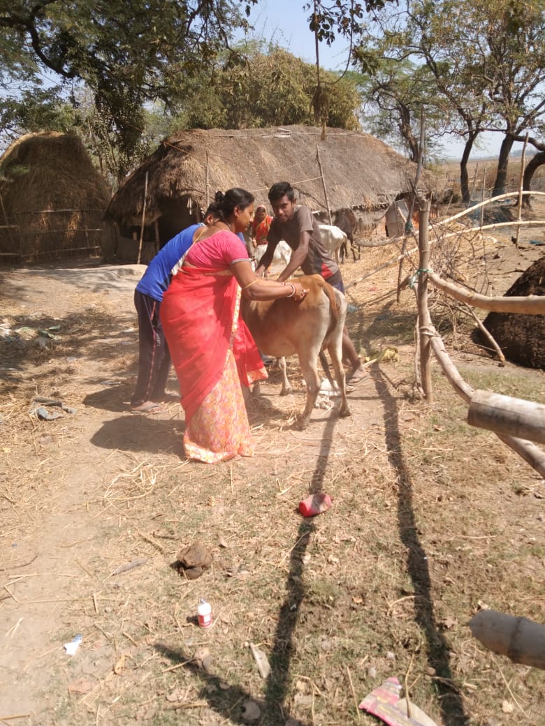 OLM DMMU BHADRAK tweet media