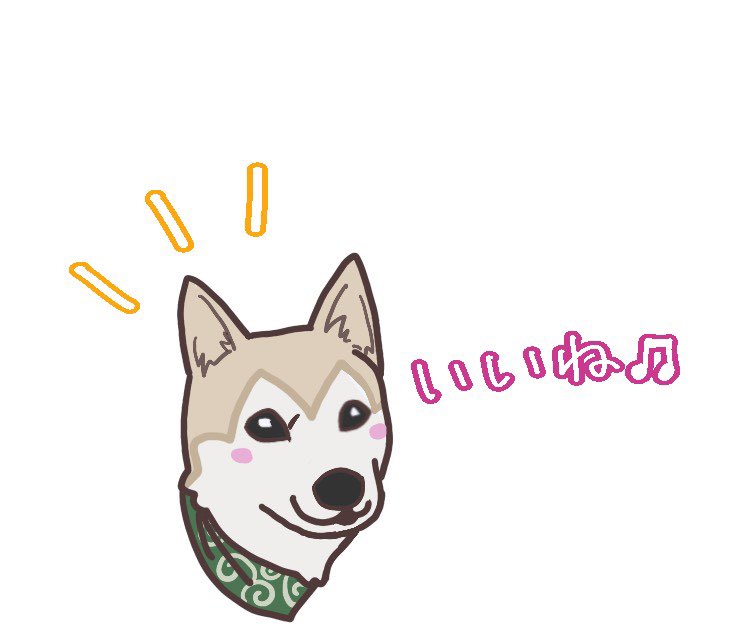 わんこと車中泊 Omugi21 Twitter わんこと車中泊 Omugi21 Twitter
