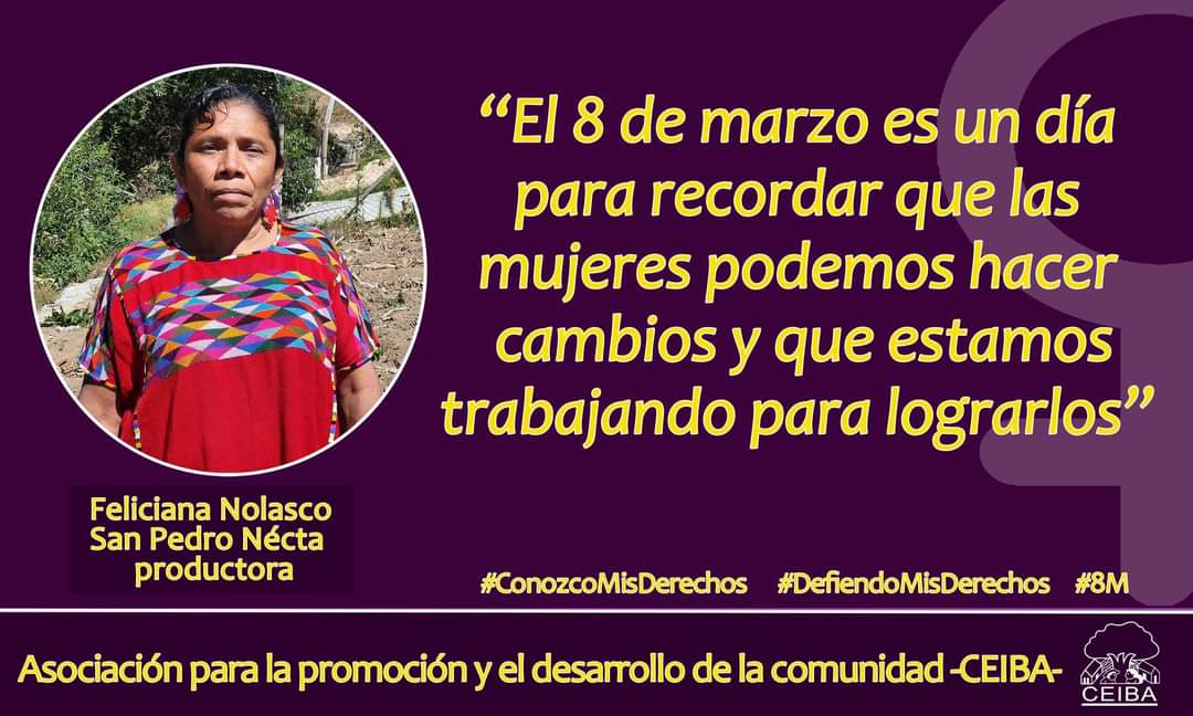 Continuamos compartiendo el sentir de compañeras en el marco del día internacional de la mujer.
#ConozcoMisDerechos 
#DefiendoYConozcoMisDerechos 
#DíaInternacionalDeLaMujer
#RumboAl8M