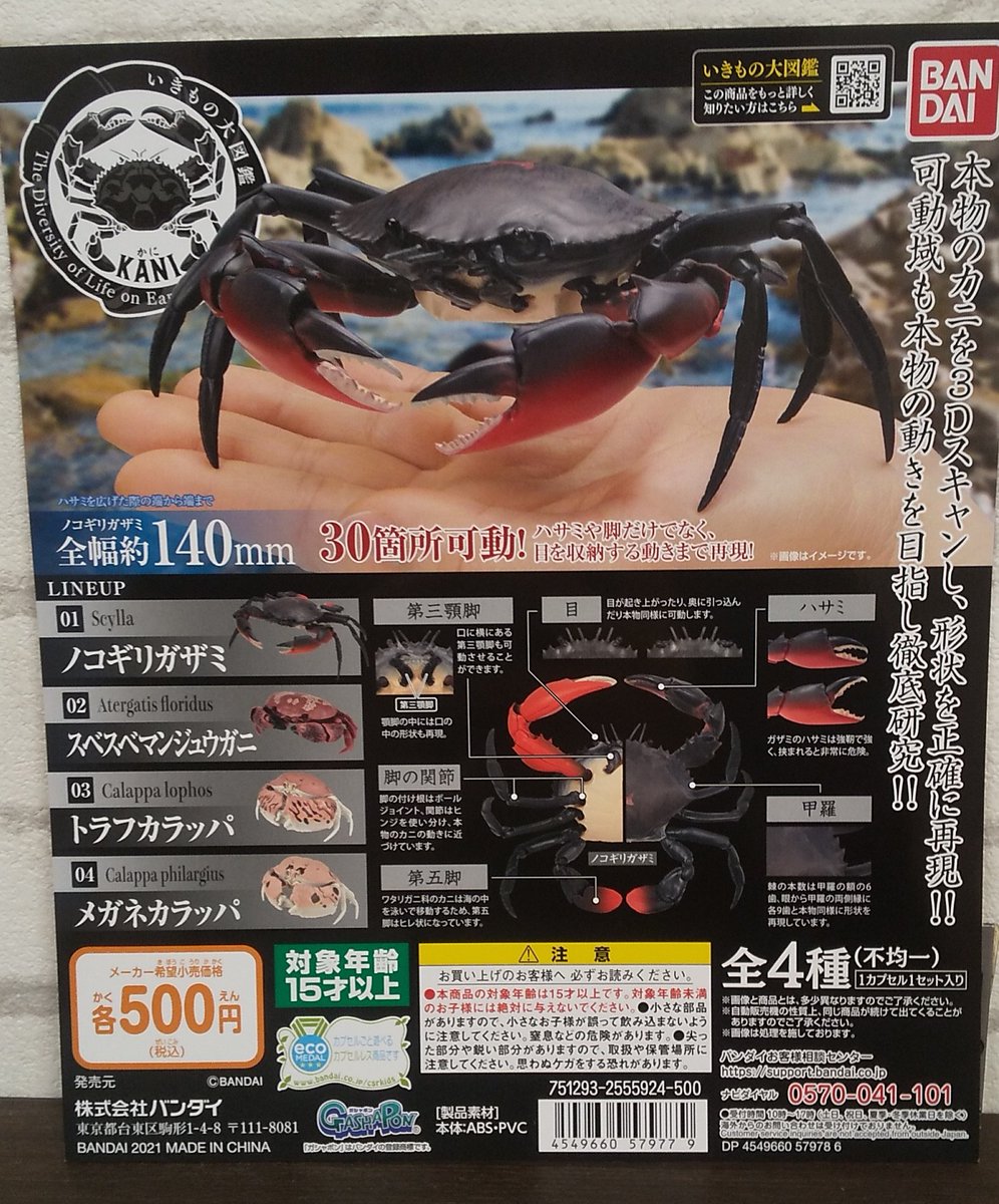 ノコギリガザミ ノコギリガザミ