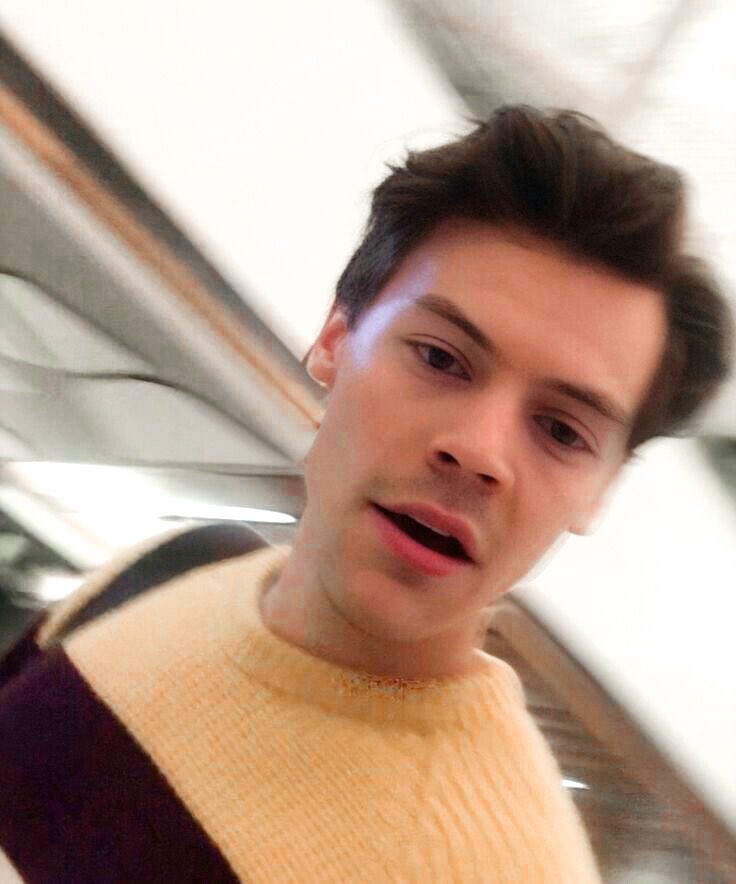 if  you  stan :

       - harry  styles
       - shawn  mendes
       - their  cute lil faces <3

 rt  this  to  gain  mutuals !