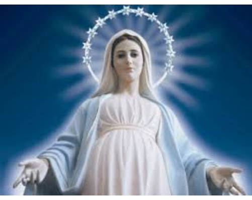 _florayfauna_'s tweet photo. ⌕ : ⸙ 𓂃 "Inmaculada virginidad, gracia del verbo encarnado, quien en tu vientre bendito germino la más bella perfección que es nuestro divino señor"
#Reflexiona #Frases #Vive

🪴: |José Castro| https://t.co/ggd1ks9DxQ