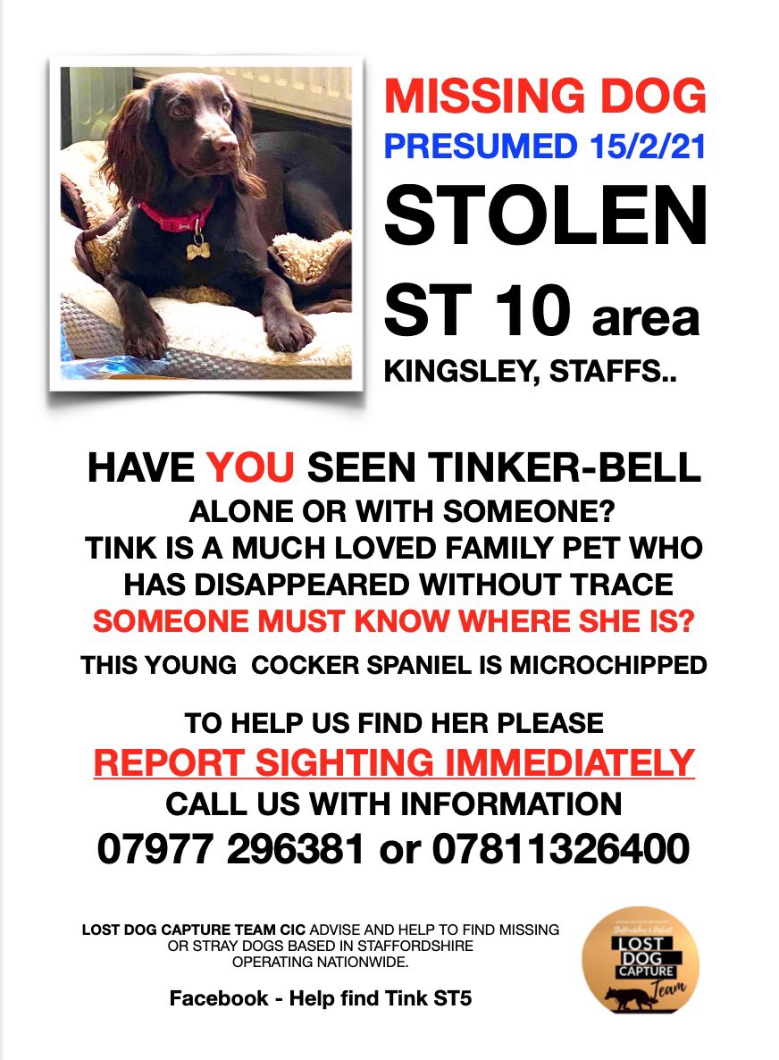 DogCapture's tweet image. Lets get TINK home #Staffordshire #LostDogs