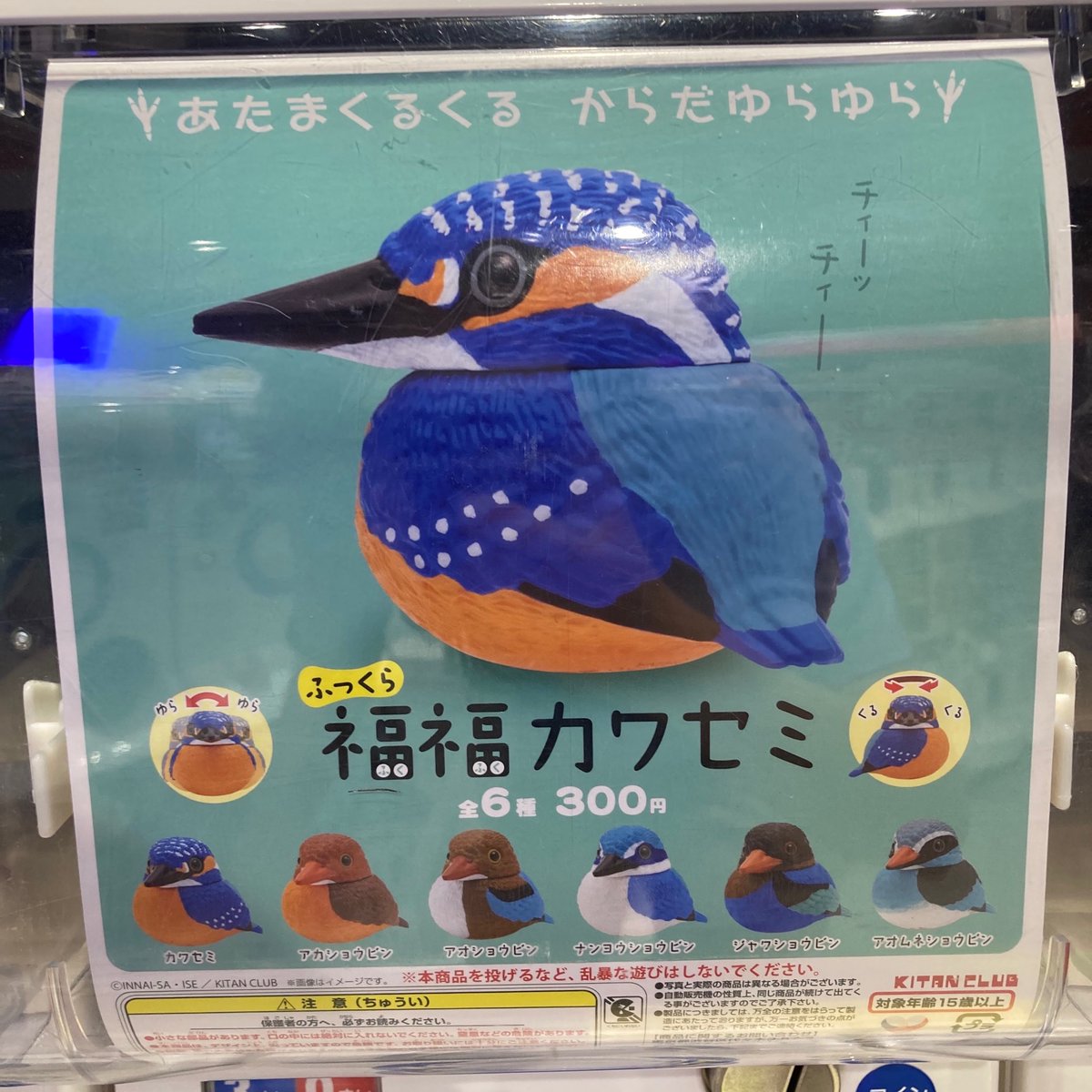 ガシャポンのデパートららぽーと名古屋みなとアクルス店 新商品 補充商品 ふっくら福福カワセミ おにぎりん具3 ムーミン ぎゅっと抱きつきケーブルカバー ポケットモンスター パレットカラーコレクション Blue 奇譚クラブから大人気シリーズ最新作 ガシャポンのデパートららぽーと名古屋みなとアクルス店 新商品 補充商品 ふっくら福福カワセミ おにぎりん具3 ムーミン ぎゅっと抱きつきケーブルカバー ポケットモンスター パレットカラーコレクション Blue 奇譚クラブから大人気シリーズ最新作