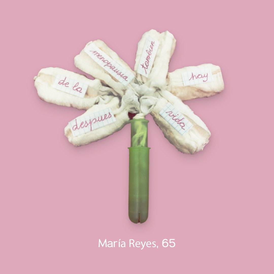 The Menopause Canvas tweet media