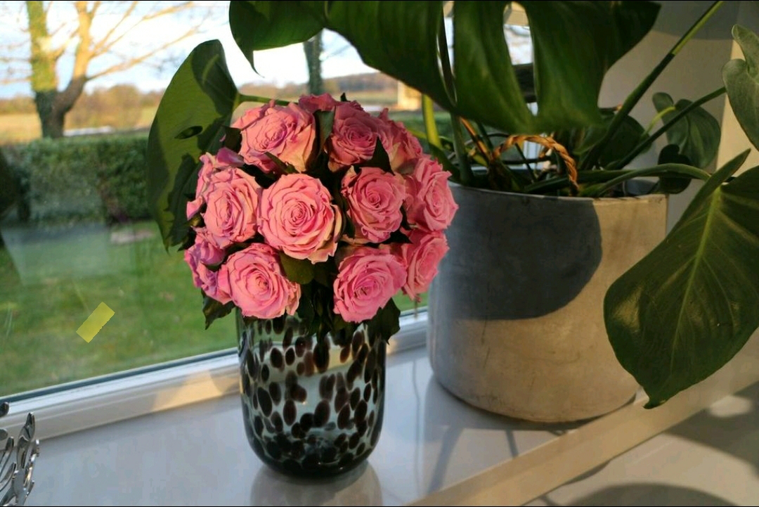 OnlyRoses tweet media