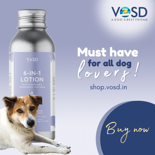 VOSD1's tweet image. Use our bestselling Organic Treatment for all types of injuries, skin diseases and hair fall for your dog! First of its kind 100% Organic Ayurvedic product which works like magic without toxic chemicals. Buy now. bit.ly/3av9mhG  #purchaseforacause