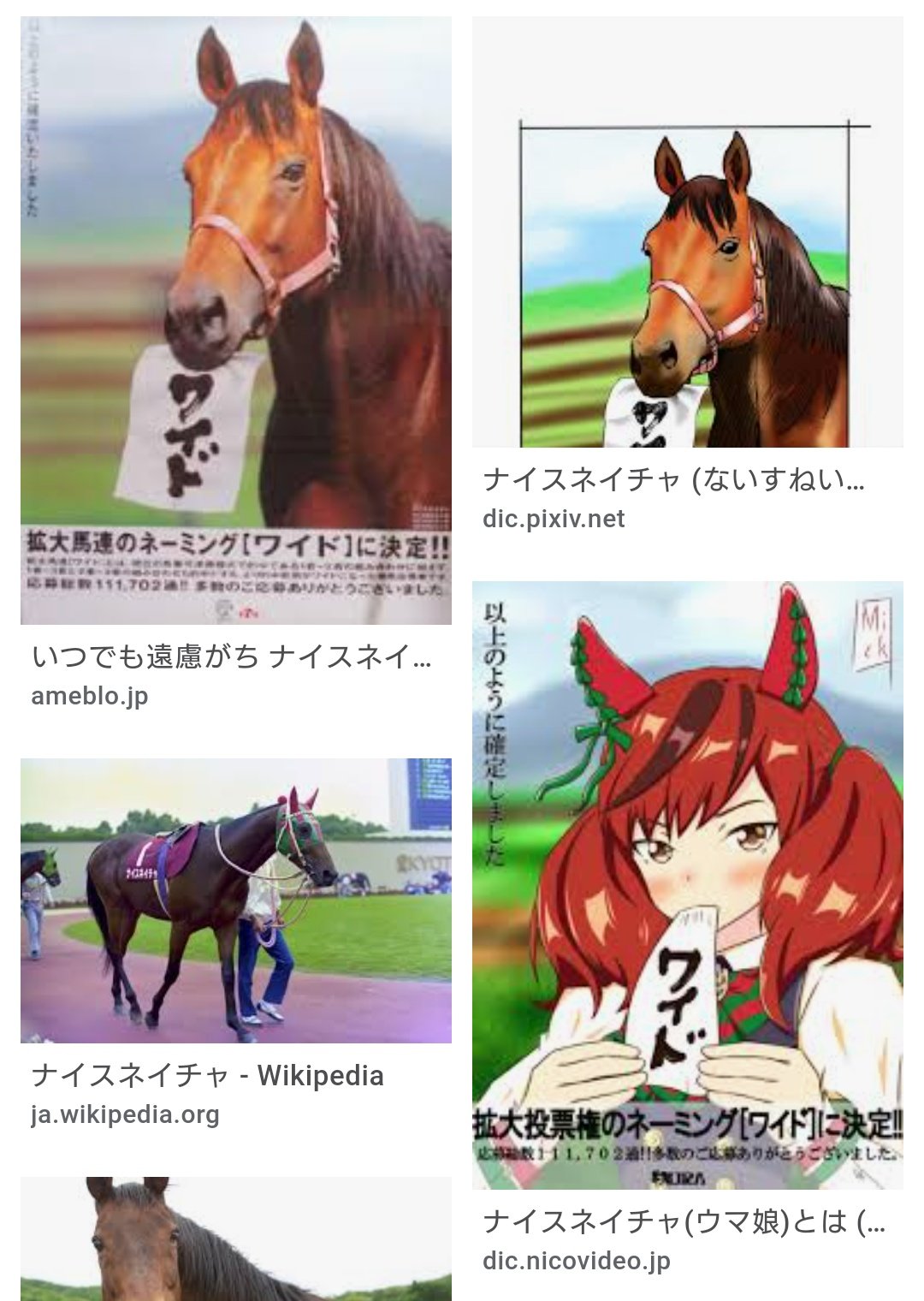 秋の装いも夜戦の川i内 カワウチさん No Twitter あー ナイスネイチャのあれって そーゆーことなんだ