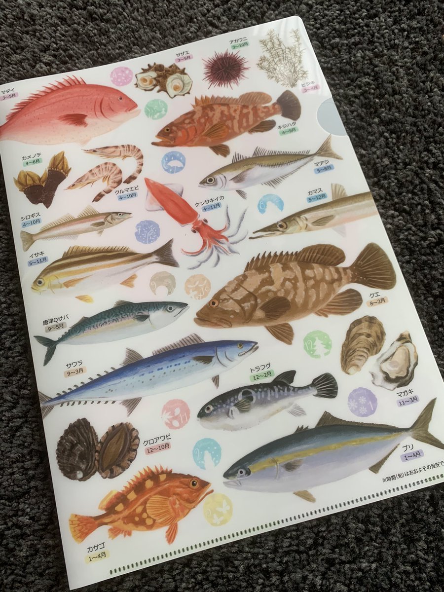 Ahamm 玄界灘 万歳 O 佐賀 魚 Ahamm 玄界灘 万歳 O 佐賀 魚