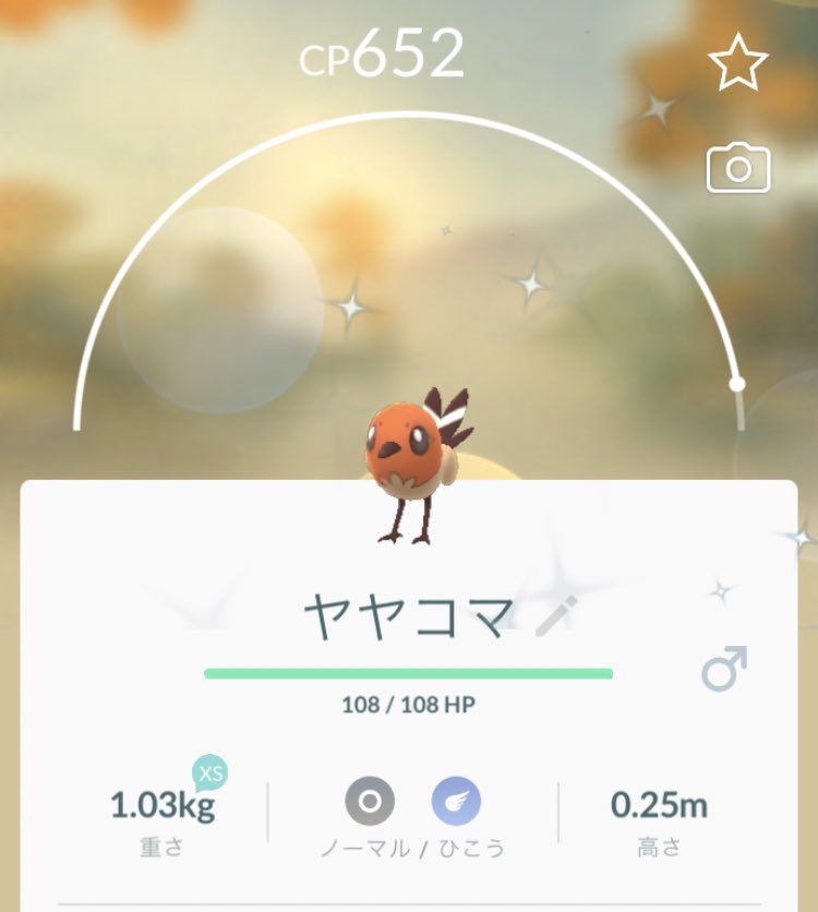 ট ইট র にかいち 色違いヤヤコマのcp652でブリガロンno という偶然の重なり ポケモンgo Goブリガロン652チャレンジ ট ইট র にかいち 色違いヤヤコマのcp652でブリガロンno という偶然の重なり ポケモンgo Goブリガロン652チャレンジ