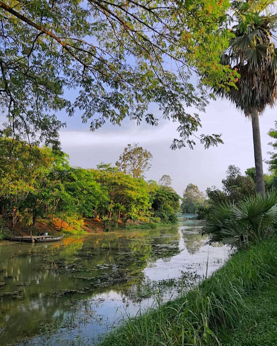 Did you ever take a stroll along the beautiful Siem Reap River? Especially in the early morning or late afternoon, you'll discover it offers plenty of photo opportunities! 🌊⛅️🎅😍
.
📸 Photo by <a href="/coco_papillon/">Coco Papillon</a> (IG)
🌏 siemreap.net/visit/about-si…