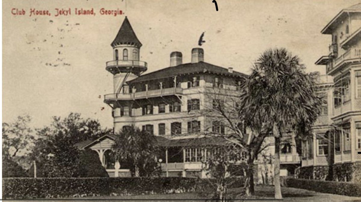 Optionistic tweet media