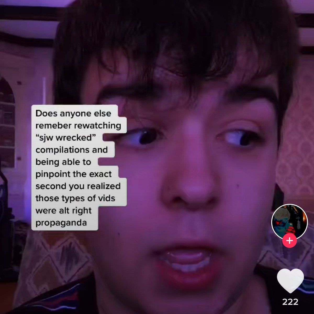 Does anyone else remember watching "sjw rekt" compilations and being able to pinpoint the exact second you realize those type of vids were alt right propaganda