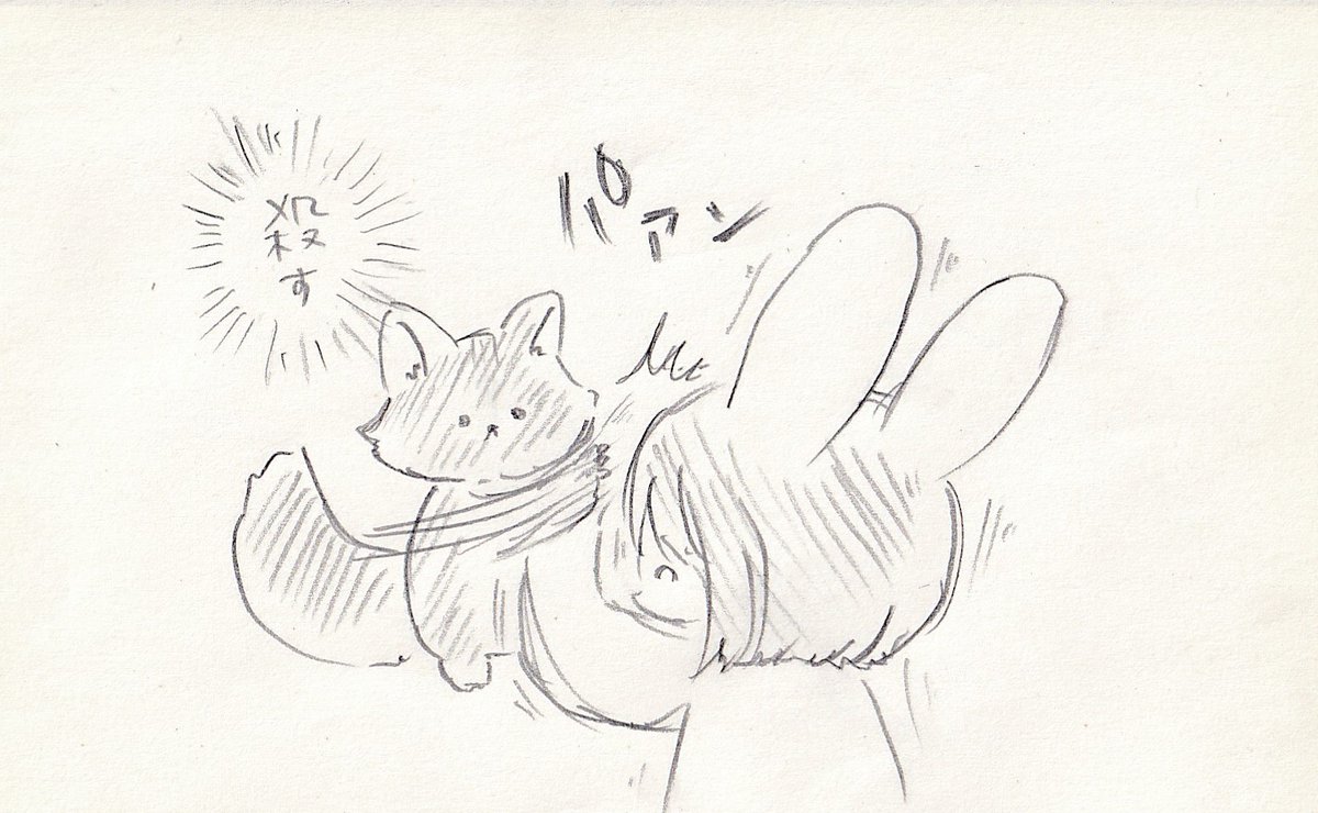 猫とのやさしい暮らし。
#猫 #キュン 