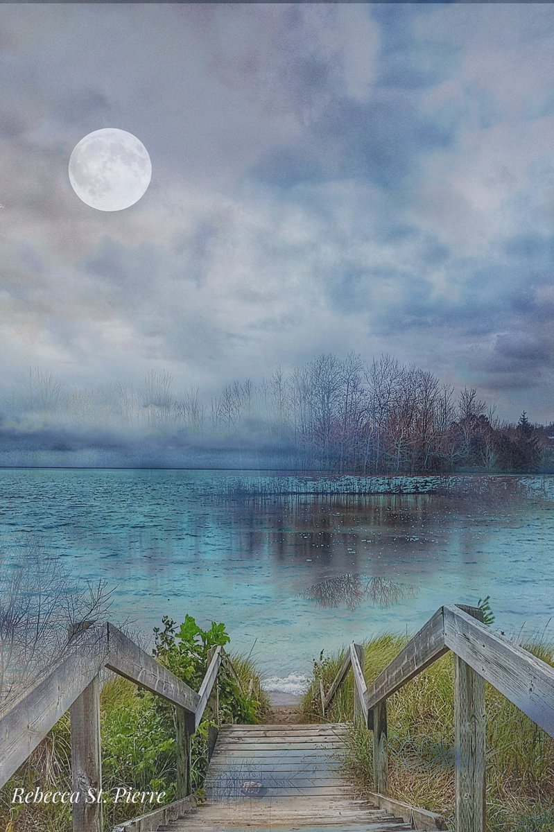 RebeccaMStP's tweet photo. #Compositephotography is like painting with a palette of images. If you haven't touched the image, you're not seeing all of "Moon Mood". 
#naturephotography #PhotographyIsArt
#NatureIsTheAnswer 
#compositeimage https://t.co/i77Ym1rCtx