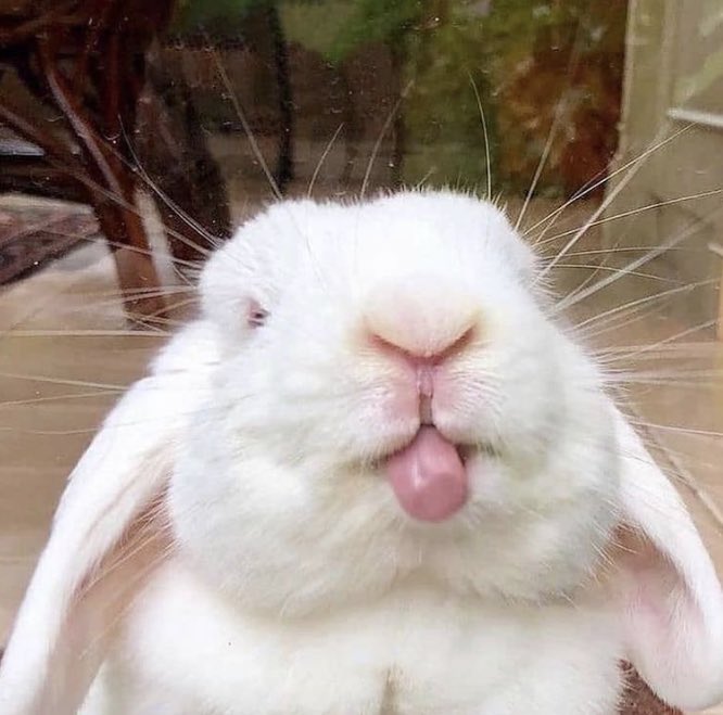 PancakeSwap's tweet image. Still looking to pay a lot of money ($250,000+) for full-time senior solidity dev gods.

There will be a tech test.

 Send your CV or relevant equivalent to pancakeswap@protonmail.com

Retweets appreciated.