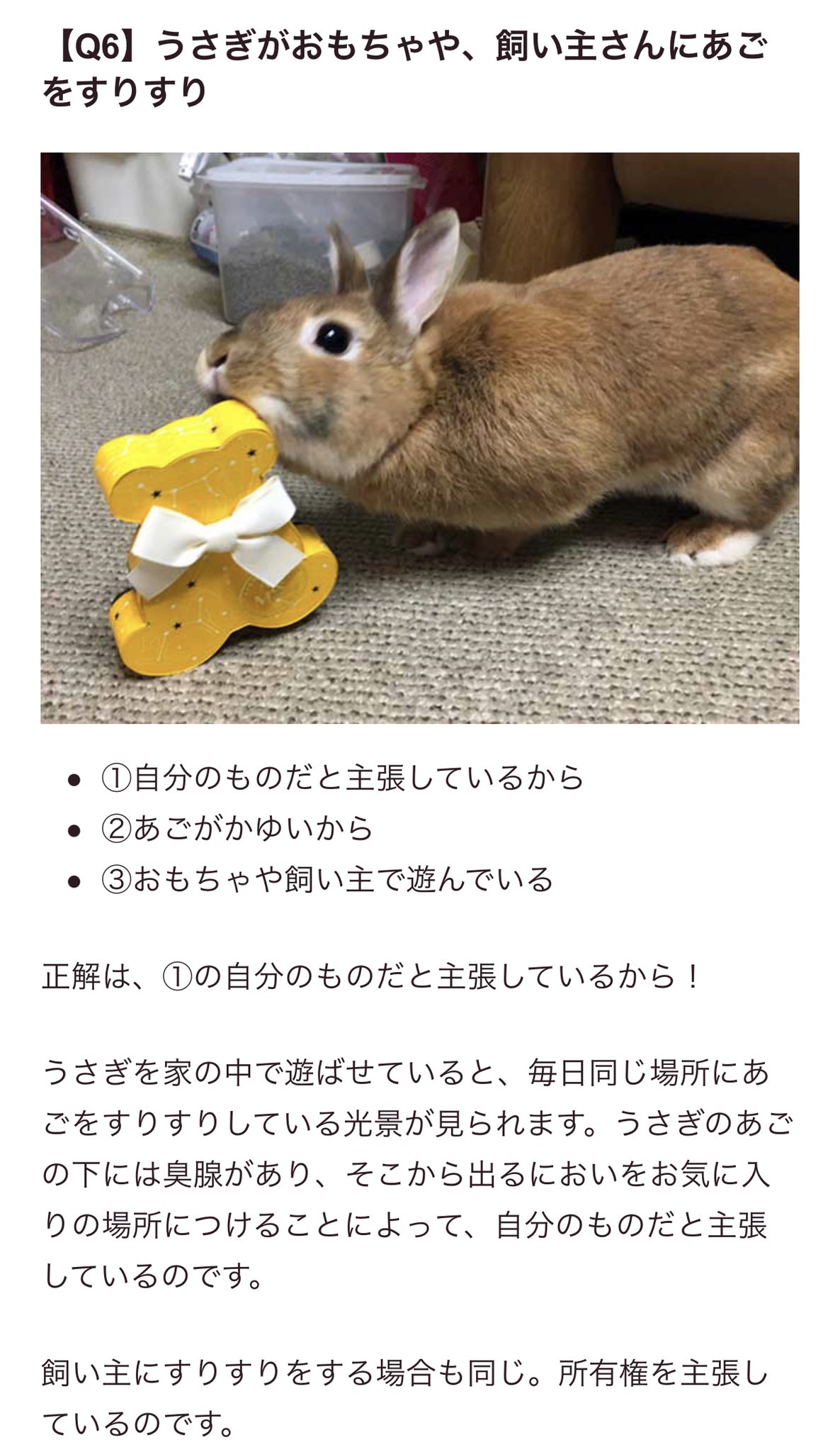 まむ テヒョンはジョングクのものです