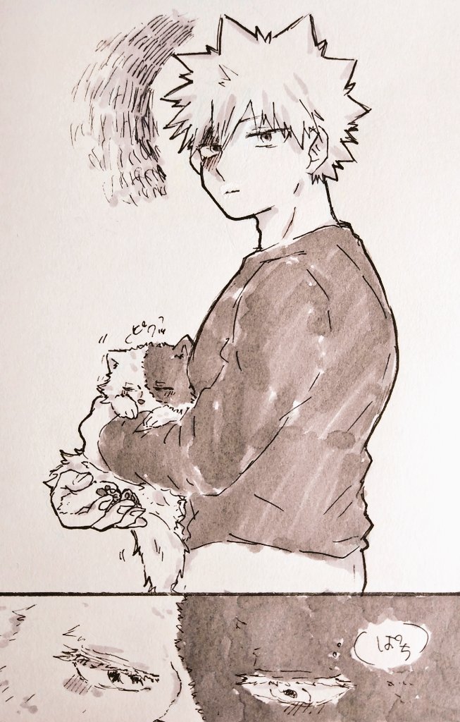 ※獣化⚠

俺さえいれば(爆轟)

ポメ?ver 