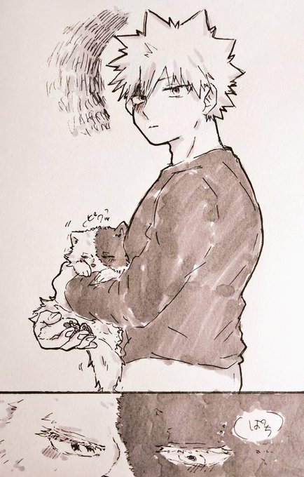 ※獣化⚠

俺さえいれば(爆轟)

ポメ?ver 