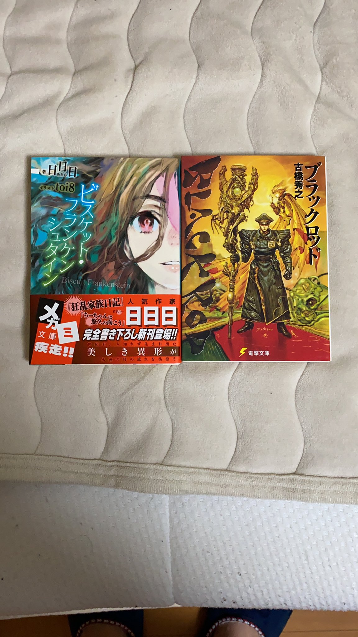 アリニティ 電撃文庫 ブラックロッド 古橋秀之 日日日 メガミ文庫 やっと欲しかった2冊購入できた 特にブラックロッドはなかなかなくて苦労しました 嬉しい アリニティ 電撃文庫 ブラックロッド 古橋秀之 日日日 メガミ文庫 やっと欲しかった2冊購入できた 特にブラックロッドはなかなかなくて苦労しました 嬉しい