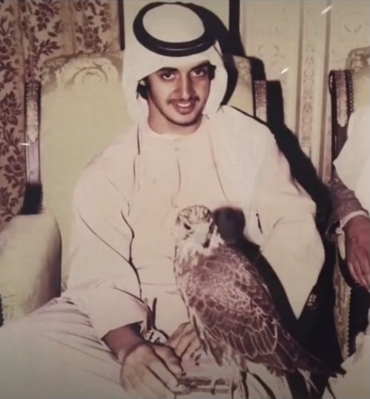 zayed699's tweet image. 